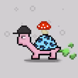 Turtle Moons #47
