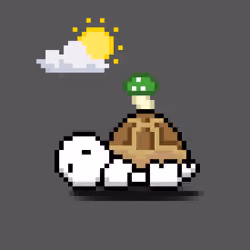 Turtle Moons #5882