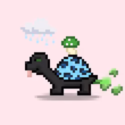 Turtle Moons #107