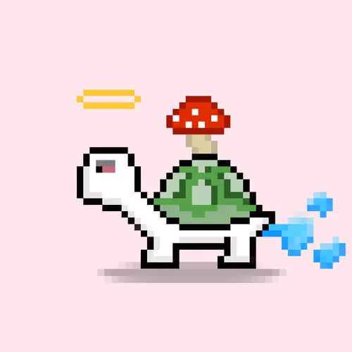 Turtlemoons