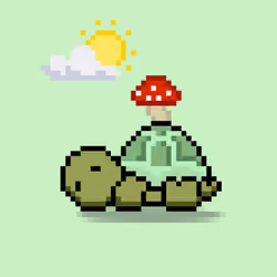 Turtle Moons #6188
