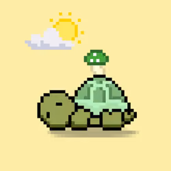 Turtle Moons #2260