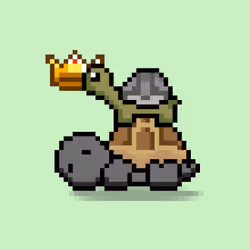 Turtle Moons #6421