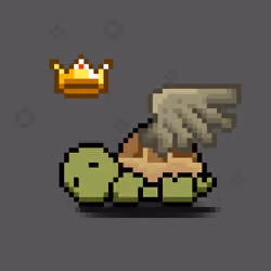 Turtle Moons #5604