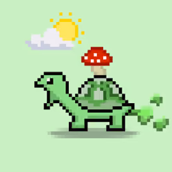 Turtle Moons #318