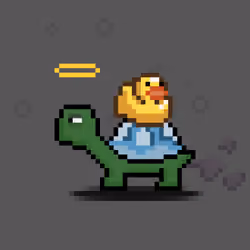 Turtle Moons #11