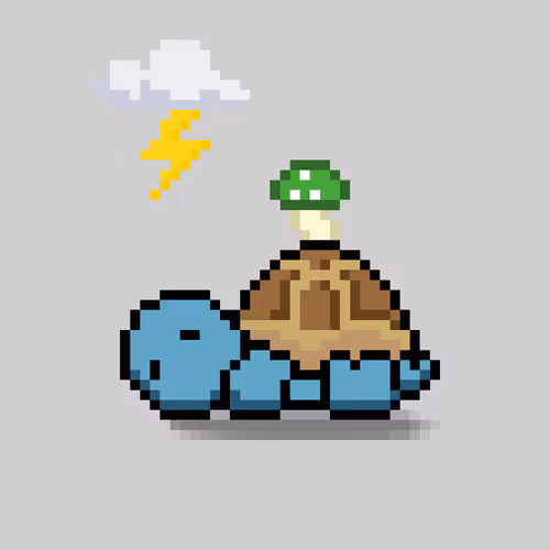 Turtlemoons