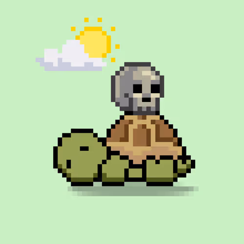 Turtle Moons #6475