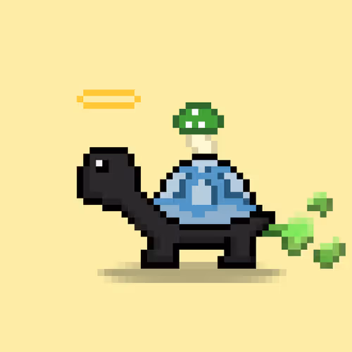 Turtlemoons