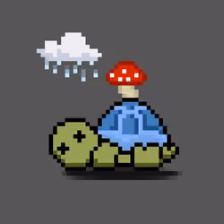 Turtle Moons #5679