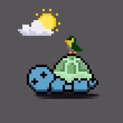 Turtle Moons #2572