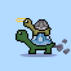 Turtle Moons #4301