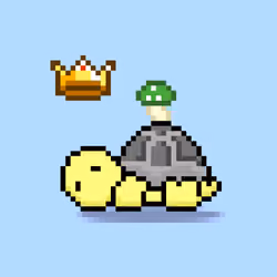 Turtle Moons #2935