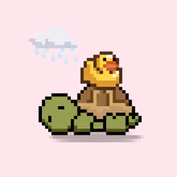 Turtle Moons #5997