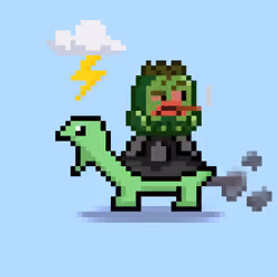Turtle Moons #75