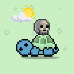 Turtle Moons #2573