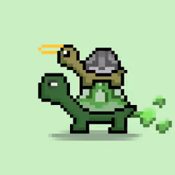 Turtle Moons #3433