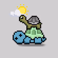 Turtle Moons #2933