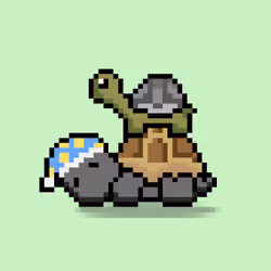 Turtle Moons #5602