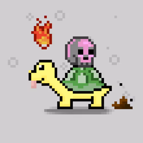 Turtlemoons