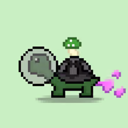 Turtle Moons #4049