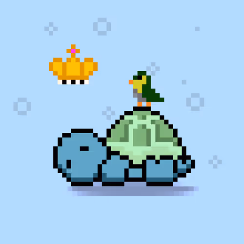 Turtlemoons