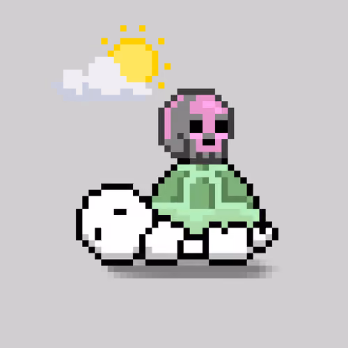 Turtle Moons #6362