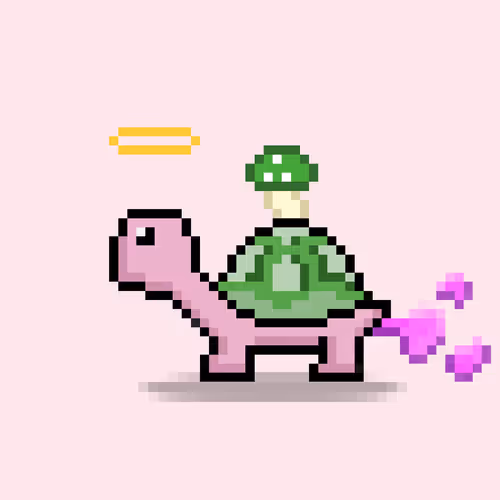 Turtlemoons