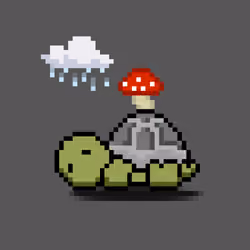 Turtle Moons #5603