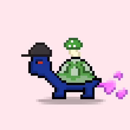 Turtlemoons
