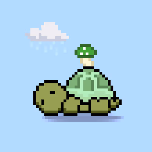Turtlemoons