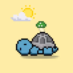 Turtle Moons #2659