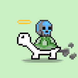 Turtle Moons #4303
