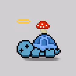 Turtle Moons #6049