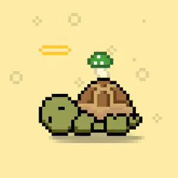 Turtle Moons #2583