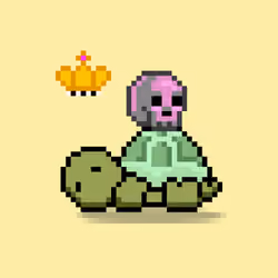 Turtle Moons #5565