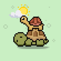 Turtle Moons #2603