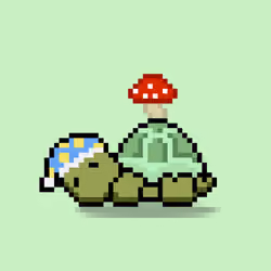 Turtle Moons #2791