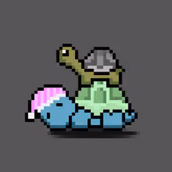 Turtle Moons #2658