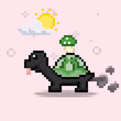 Turtle Moons #77