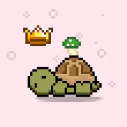 Turtle Moons #2622