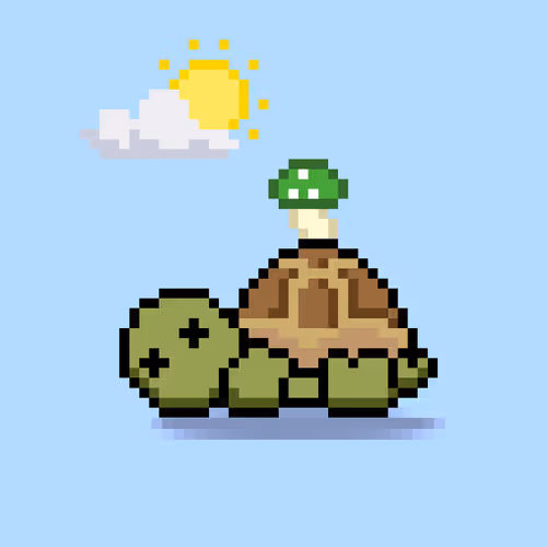 Turtlemoons