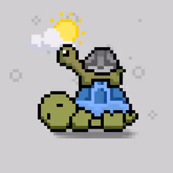 Turtle Moons #6448