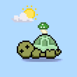 Turtle Moons #6237
