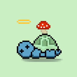 Turtle Moons #5926
