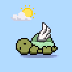 Turtle Moons #6437