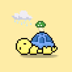 Turtle Moons #6449