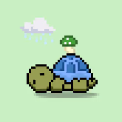 Turtle Moons #2549
