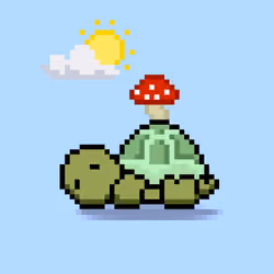 Turtle Moons #2637