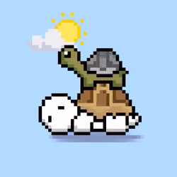 Turtle Moons #6582